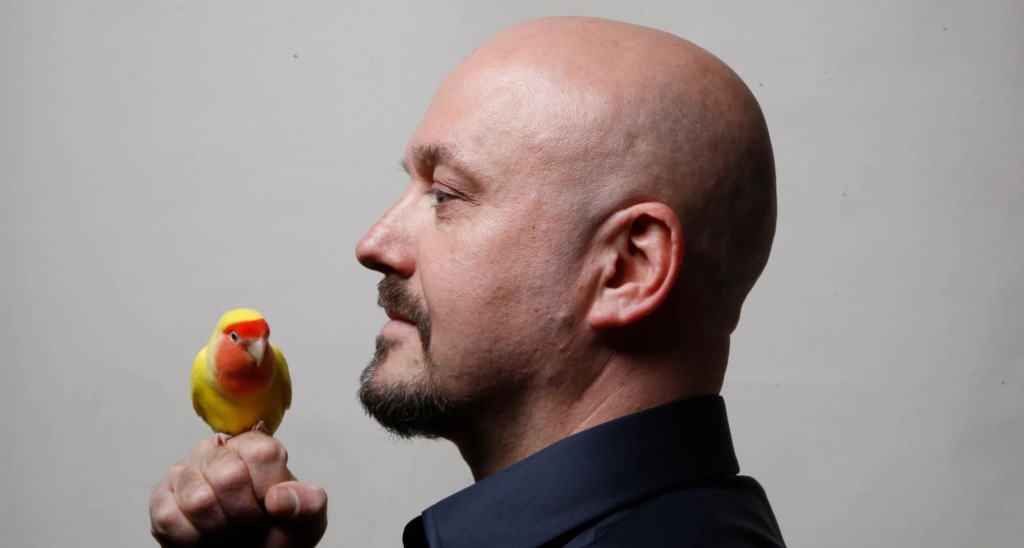 Maisons-Laffitte Jazz Festival